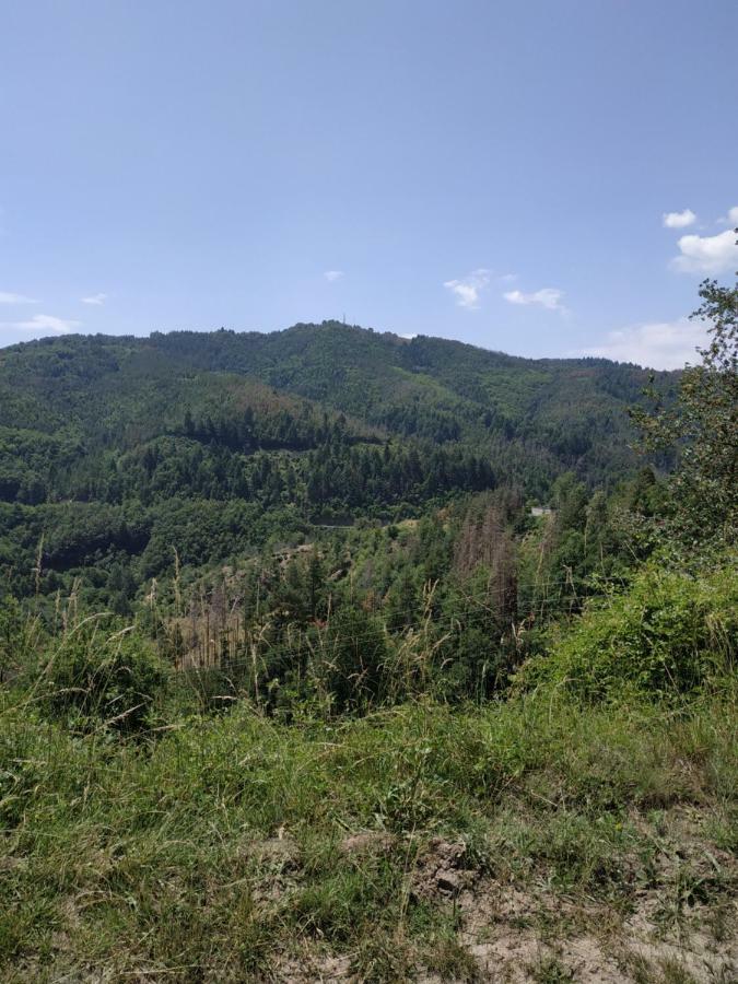 "Вила Баните" Buitenkant foto